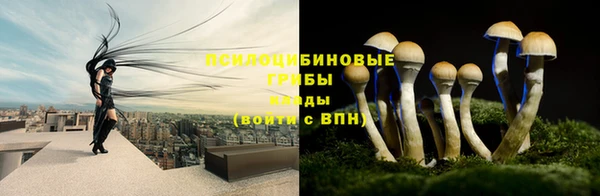 соль ск Лабытнанги