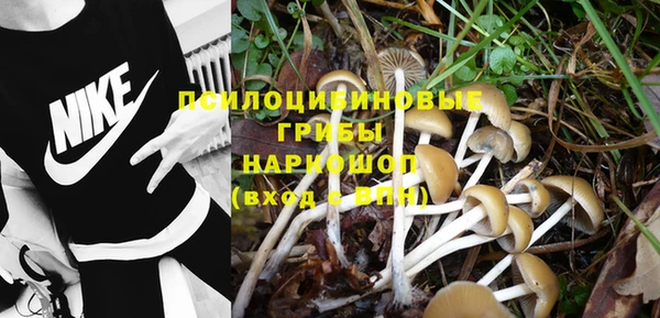прущая мука Лагань