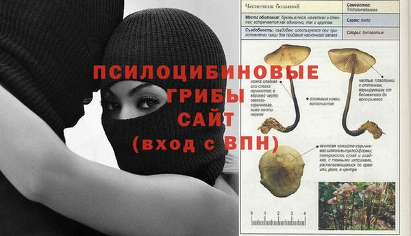 соль ск Лабытнанги