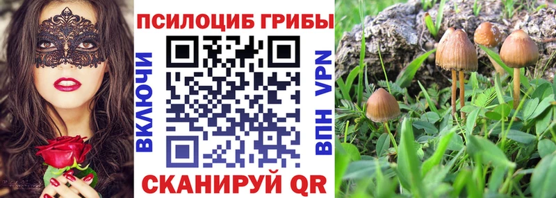 Купить где  Морозовск  Псилоцибиновые грибы Magic Shrooms 